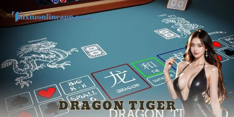 Các chiến thuật chơi Dragon Tiger hiệu quả