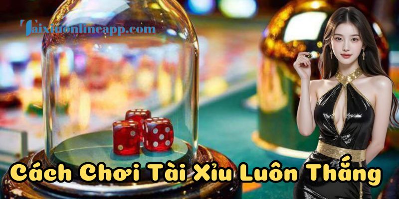 Nhiều chiến thuật chơi tài xỉu hiệu quả