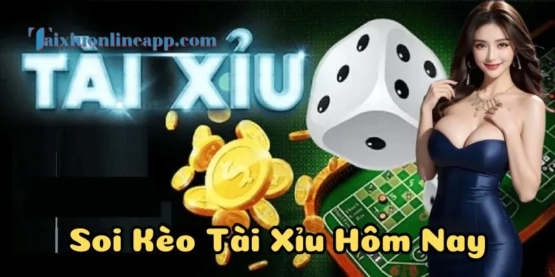 Hướng dẫn Soi Kèo Tài Xỉu Hôm Nay cho người mới