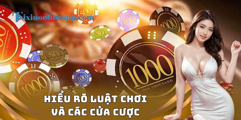 Hiểu rõ luật chơi và các cửa cược