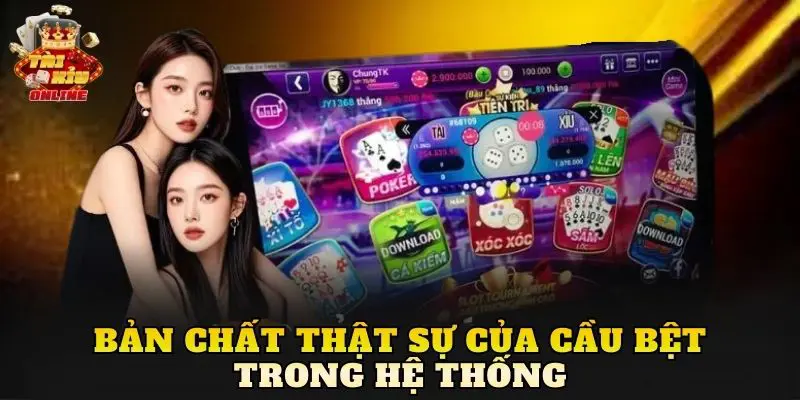 Bản chất thật sự của cầu bệt trong hệ thống