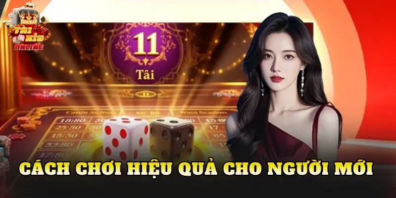 Cách chơi hiệu quả cho người mới