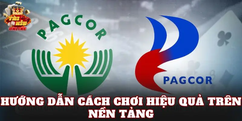 Hướng dẫn cách chơi hiệu quả trên nền tảng