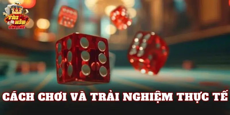 Cách chơi và trải nghiệm thực tế