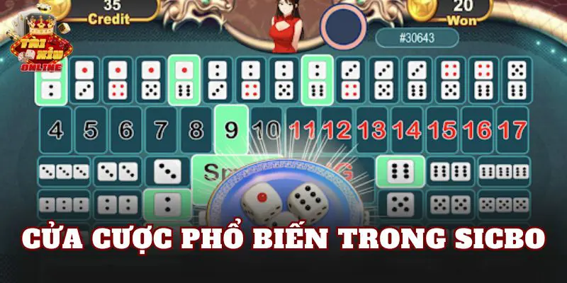 Cửa cược phổ biến trong Sicbo