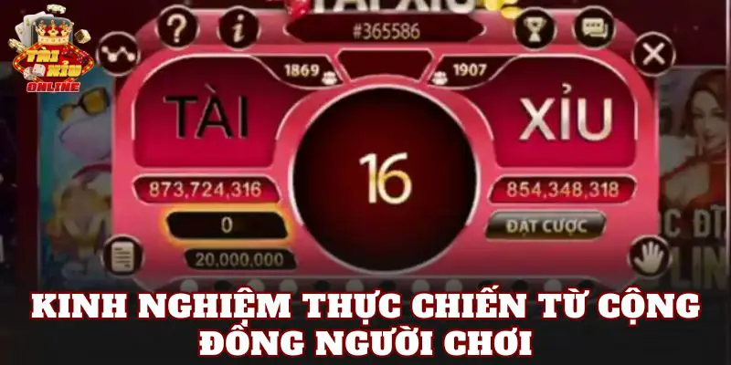 Kinh nghiệm thực chiến từ cộng đồng người chơi