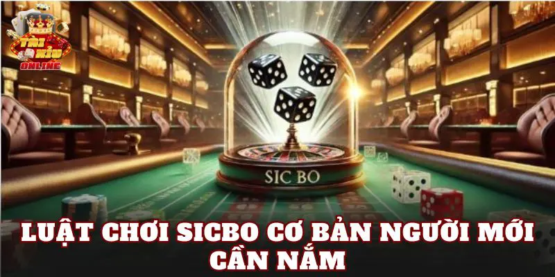 Luật chơi Sicbo cơ bản người mới cần nắm