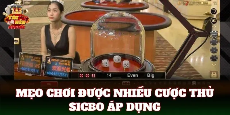 Mẹo chơi được nhiều cược thủ áp dụng