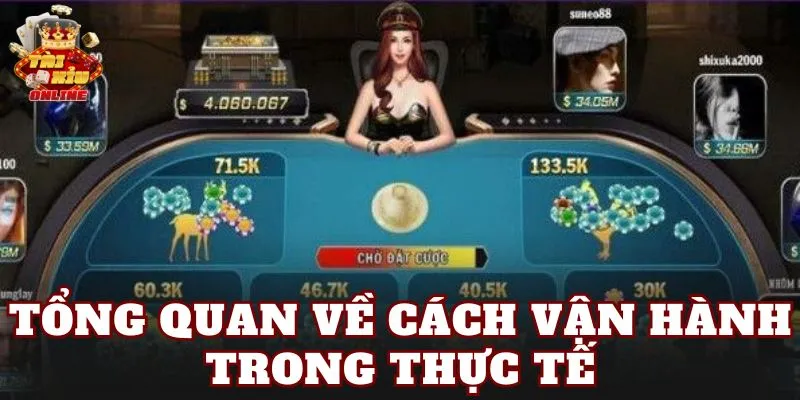 Tổng quan về cách vận hành trong thực tế
