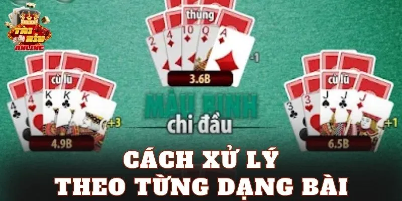 Cách xử lý theo từng dạng bài