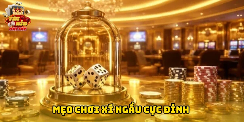 Mẹo chơi xí ngầu cực đỉnh
