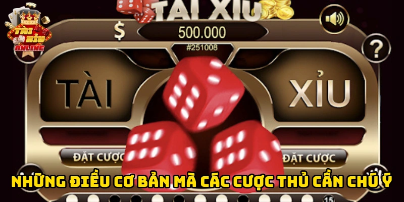 Những điều cơ bản mà các cược thủ cần chú ý